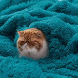 Fuzzy Faux Fur Blanket