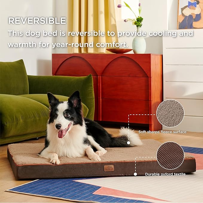 Large Orthopedic Washable Dog Bed