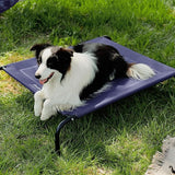 Elevated Dog Cot Bed with Breathable Mesh