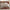 Cotton Linen Hybrid Duvet Cover Set