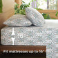 GentleSoft™ 100% Cotton Sheets Trellis