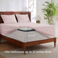 GentleSoft™ Moisture-Wicking Sheet Set
