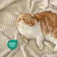 Decorative Woven Throw Blanket
