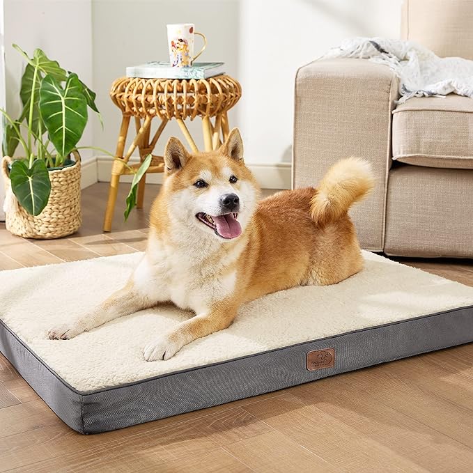 Large Orthopedic Washable Dog Bed