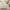 100% Cotton Tufted Duvet Cover Set Beige