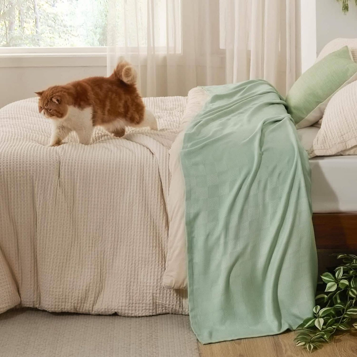 GentleSoft™ Rayon Derived From Bmaboo Checkered Blanket