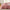 Reversible Floral Print Comforter Set-2