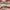 Christmas Plaid Comforter Set Red