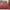 Christmas Plaid Comforter Set Red Snowflake
