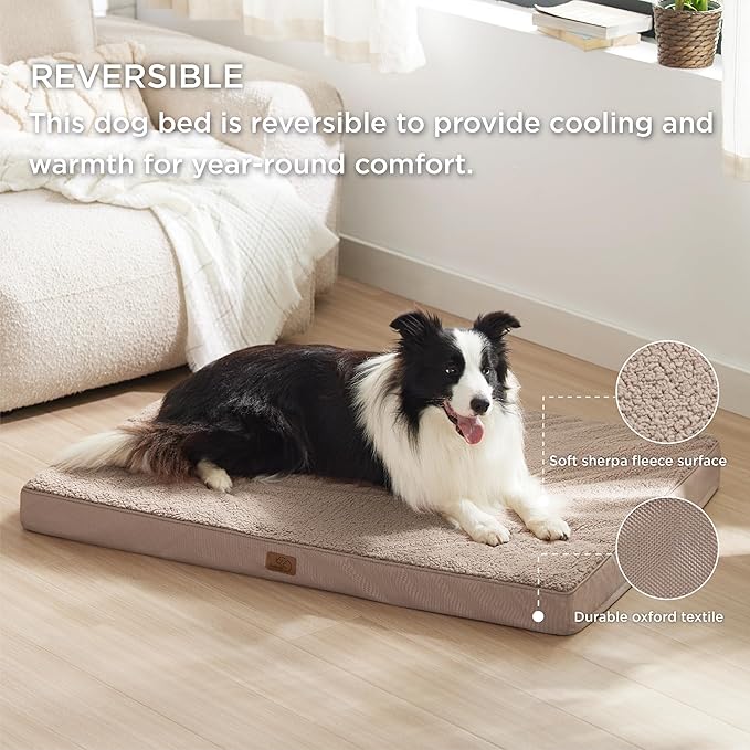 Large Orthopedic Washable Dog Bed