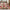 Christmas Plaid Comforter Set Red
