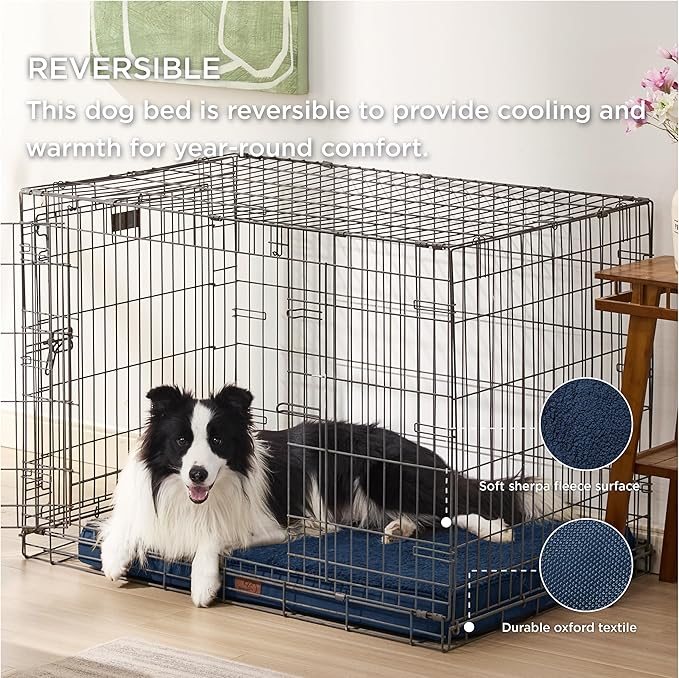 Large Orthopedic Washable Dog Bed