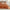 Voile Cotton Quilt Set