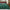 Christmas Plaid Comforter Set Green