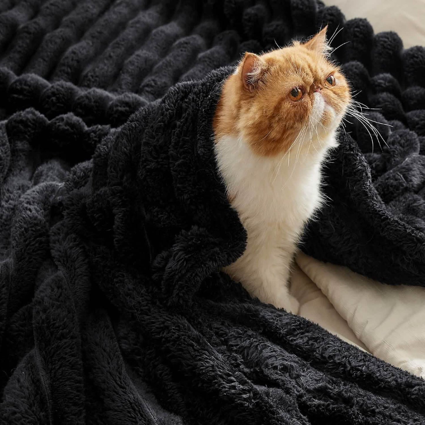GentleSoft™ Luxe Blanket