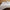 100% Cotton Sheets Botanical