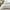 Exotic Foliage Comforter Set