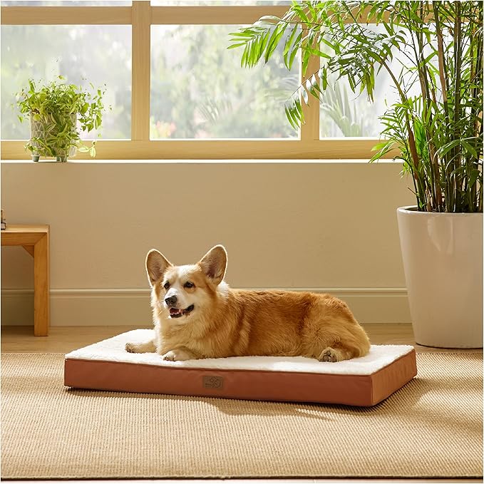 Large Orthopedic Washable Dog Bed S