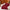 Christmas Reindeer Fair Isle Bed-in-a-bag Reindeer