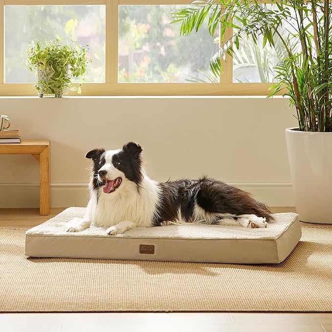 Large Orthopedic Washable Dog Bed