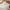 100% Cotton Flannel Sheets Almond Buff
