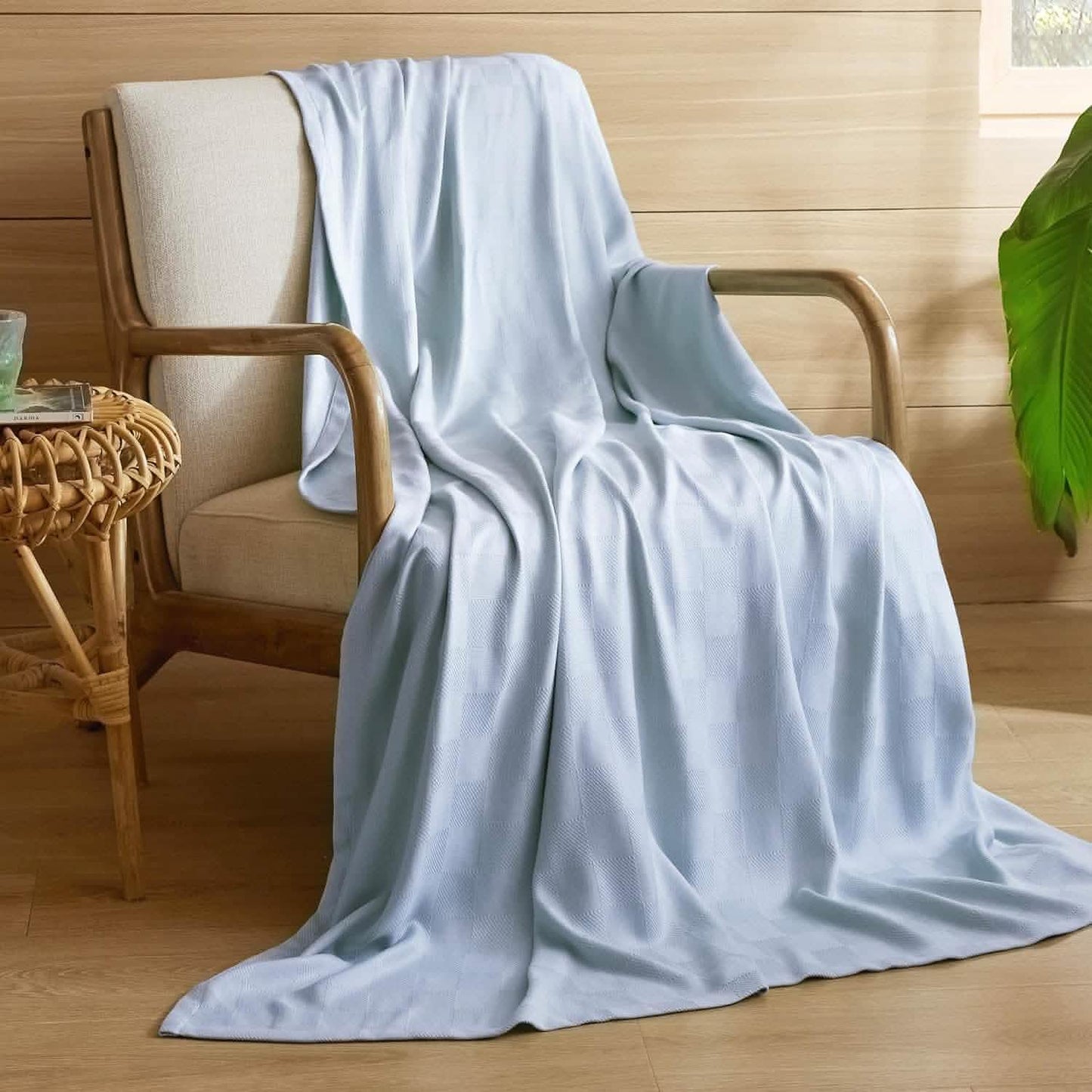 GentleSoft™ Rayon Derived From Bmaboo Checkered Blanket