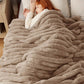 Plush Stripe Blanket