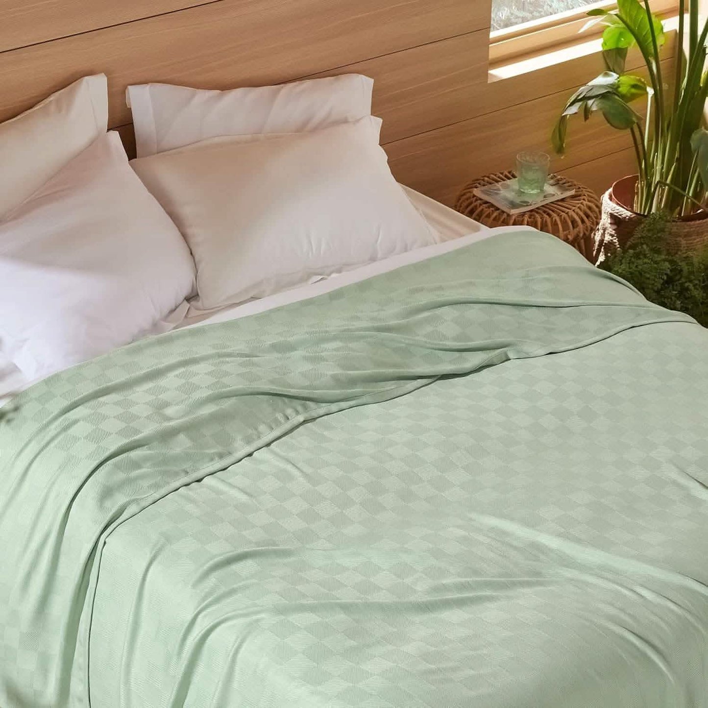 GentleSoft™ Rayon Derived From Bmaboo Checkered Blanket
