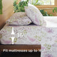 100% Cotton Sheets Botanical