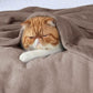 Flannel Fleece Blanket 300gsm-2