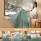 Jacquard Shaggy Sherpa Heated Blanket