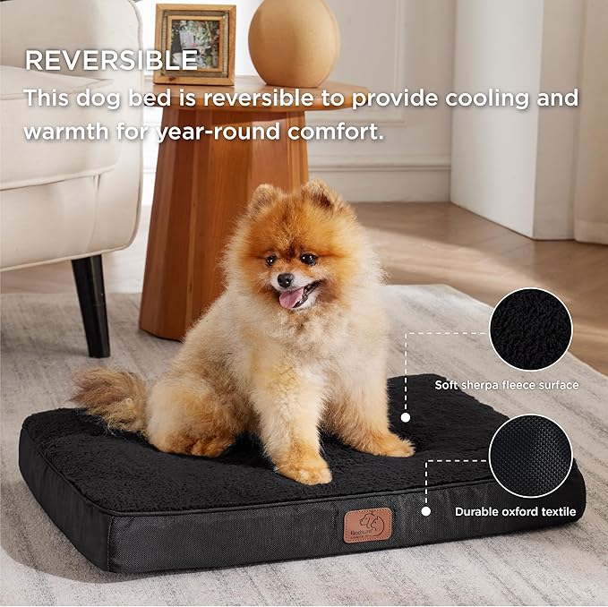 Large Orthopedic Washable Dog Bed