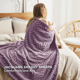 Arch Shaggy Sherpa Fleece Blanket