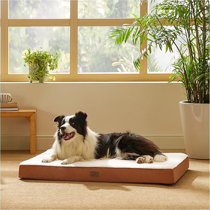Large Orthopedic Washable Dog Bed
