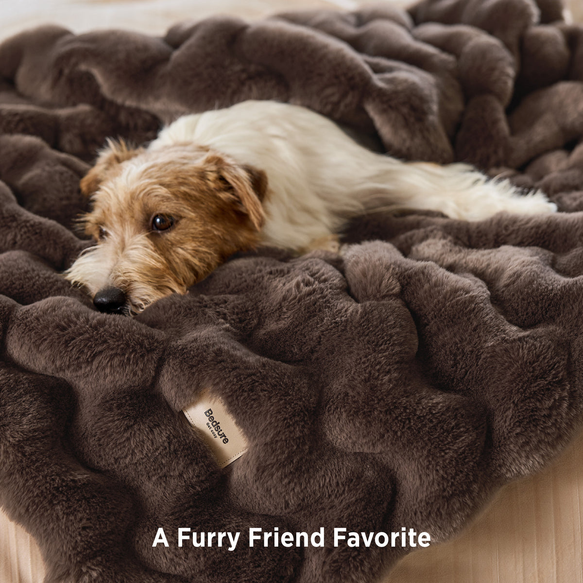 Faux Fur Throw Blanket