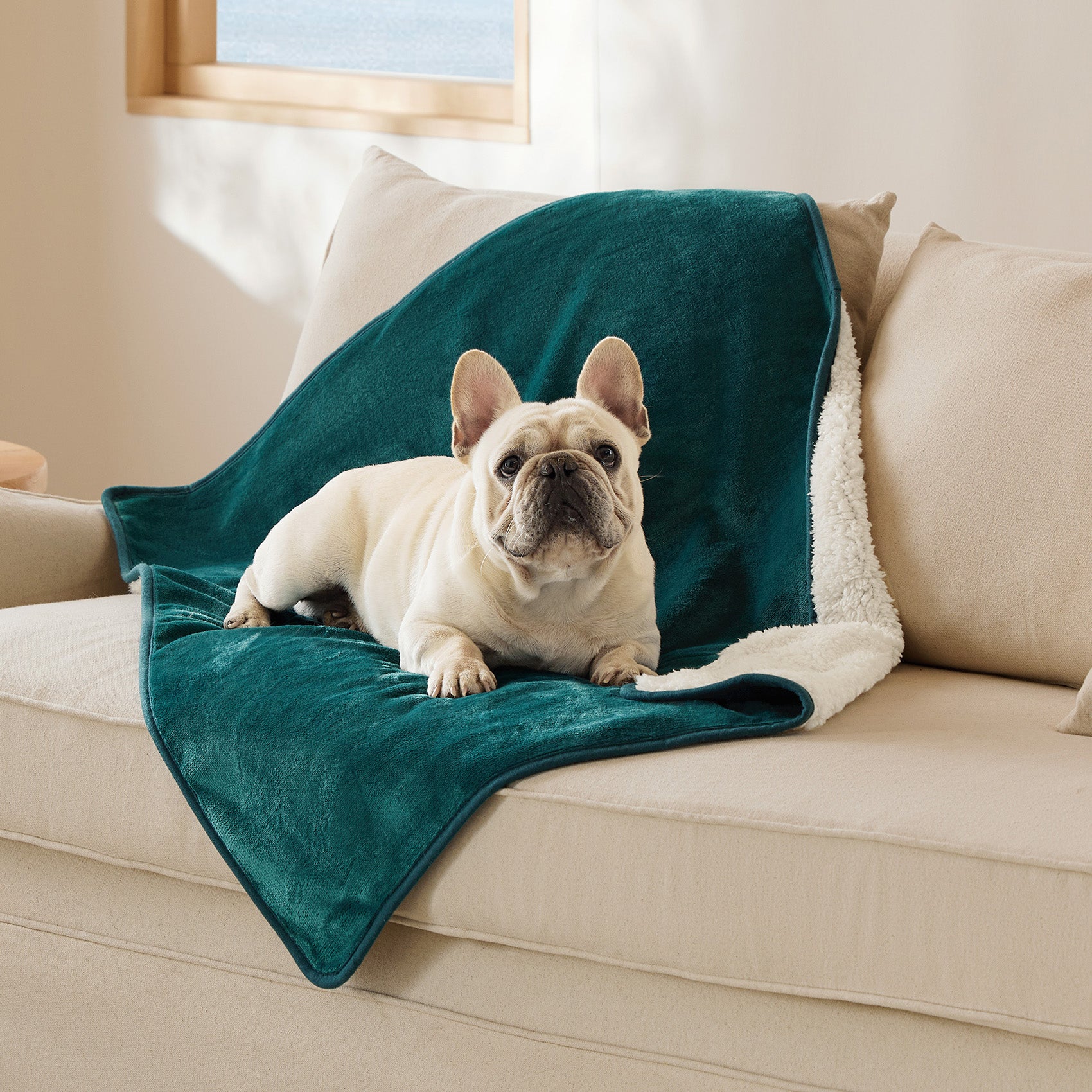 Reversible Sherpa and Microfiber Fleece Dog Blanket