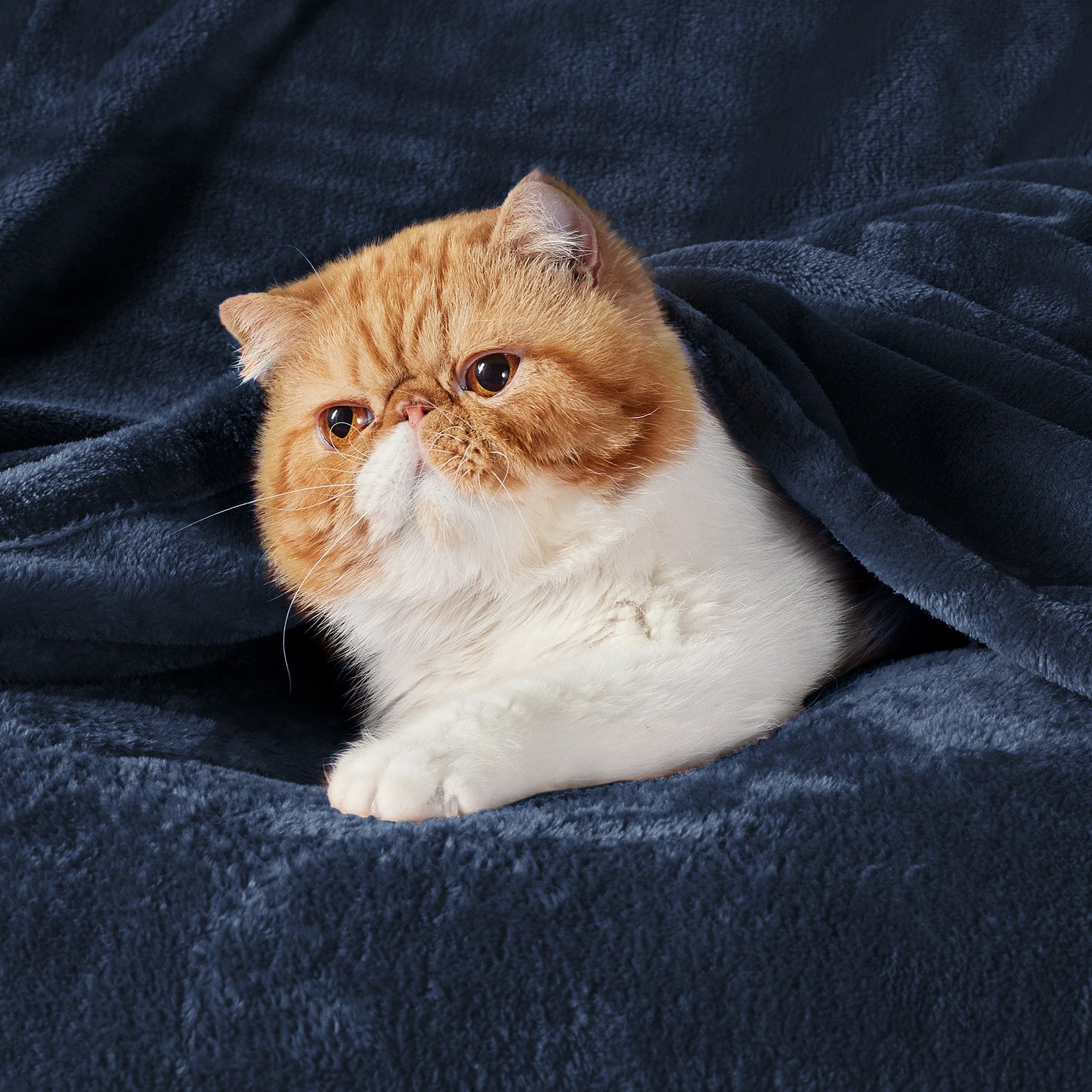 Flannel Fleece Blanket 280gsm | Ultra-Soft Plush Throw – Bedsure