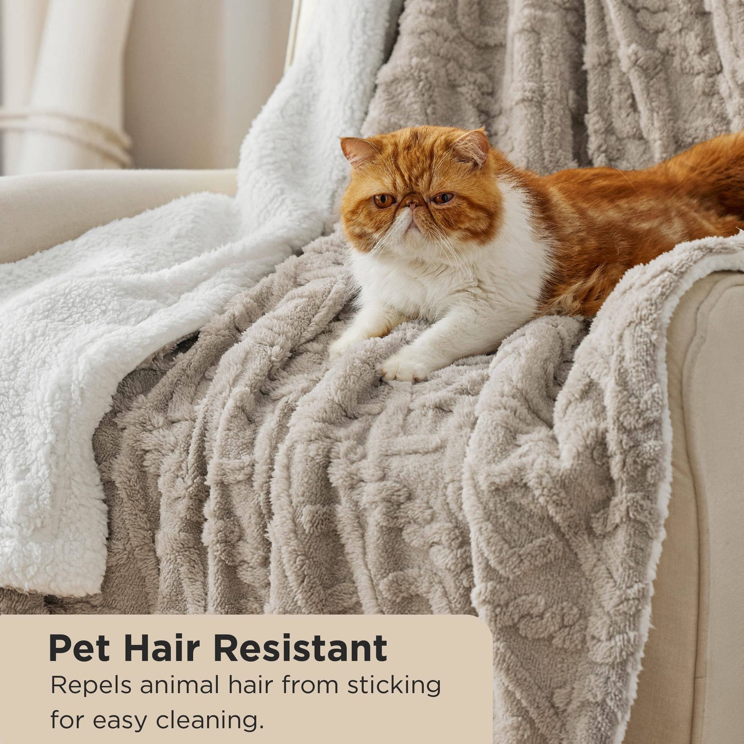 Sherpa Throw Blanket For Couch