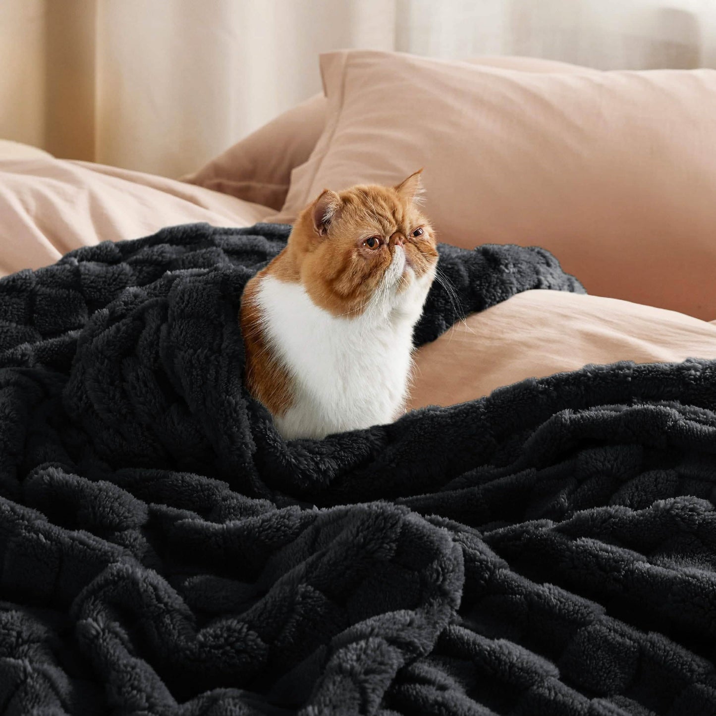 Jacquard Shaggy Sherpa Blanket
