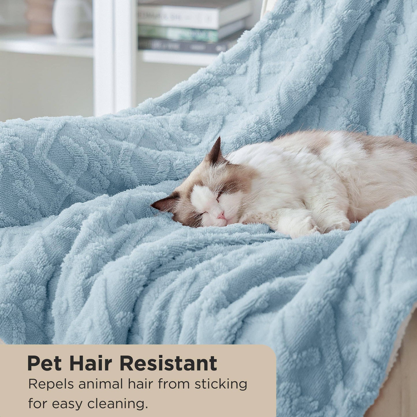 Sherpa Throw Blanket For Couch