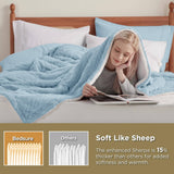 Bedsure Sherpa Throw Blanket For Couch