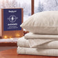 220 GSM Anti-Static Flannel Sheet Set