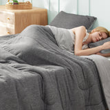 Reversible Warm and Cooling Comforter Set