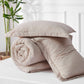GentleSoft Cationic Dye Comforter Set