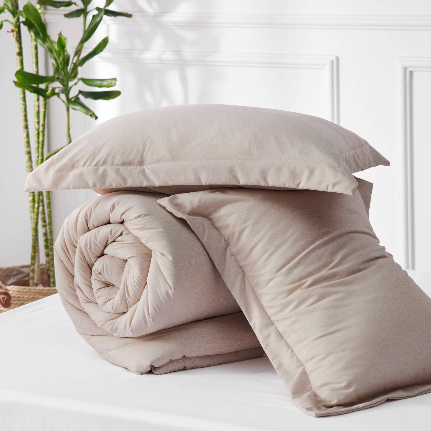 GentleSoft Cationic Dye Comforter Set