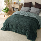 Bedsure Sherpa Throw Blanket For Couch