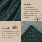Bedsure Sherpa Throw Blanket For Couch