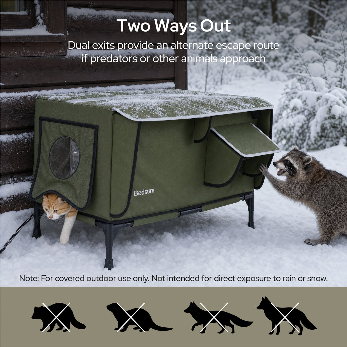 Outdoor Heated Cat House