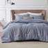 GentleSoft™ Cationic Dye Comforter Set