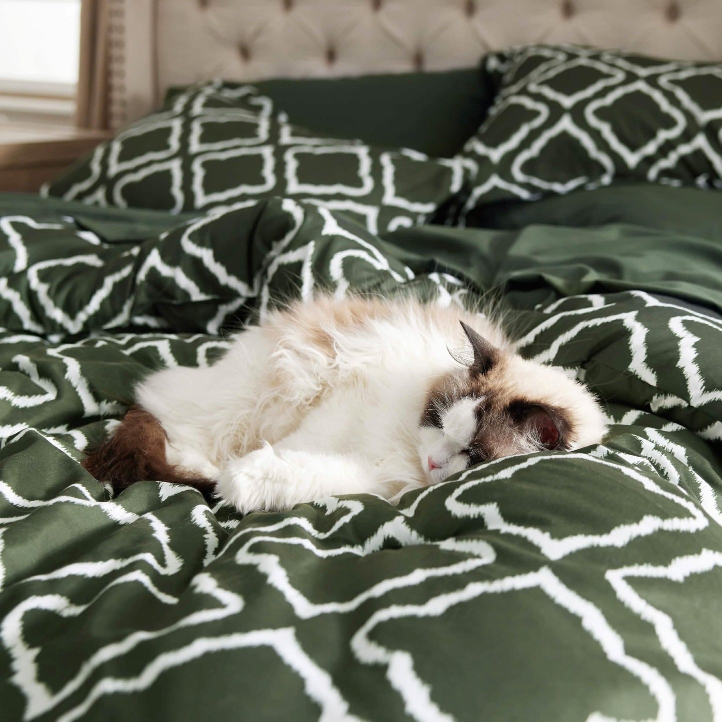 Quatrefoil Bedding Set